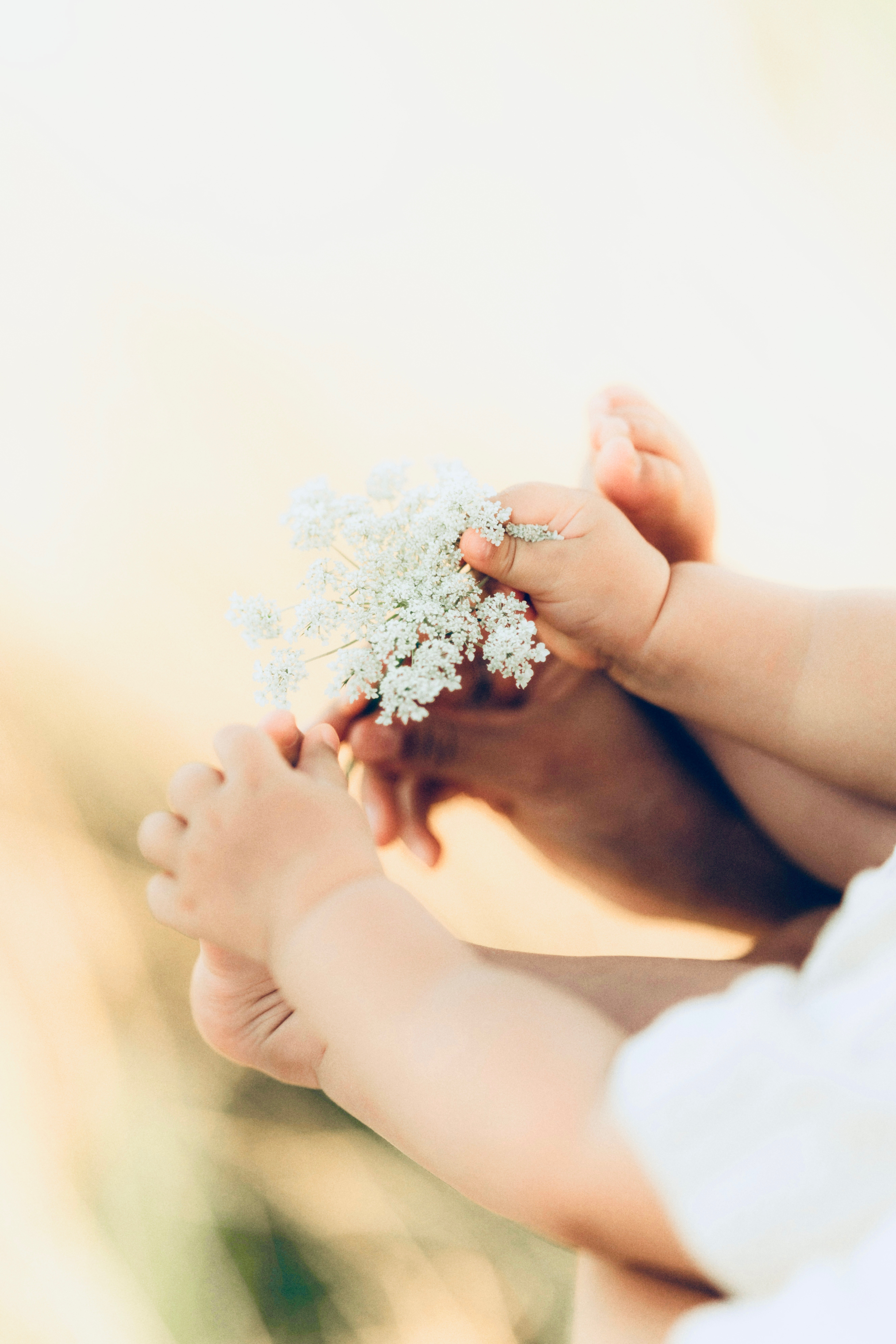 Hands massageing baby feet
